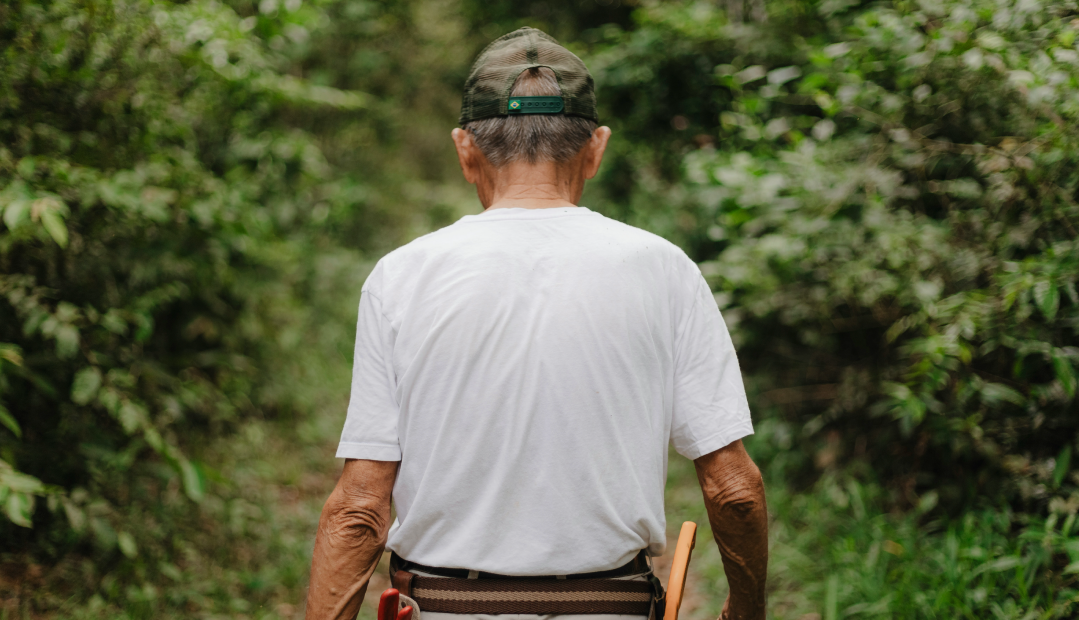 Parkinson’s, the Gut, and a Radical Rethink of Brain Disease