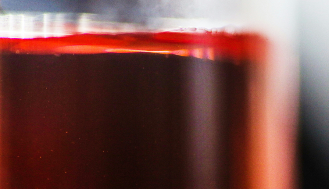 Prebiotics, Probiotics, Postbiotics: The Trio That Powers Your Gut and Beyond